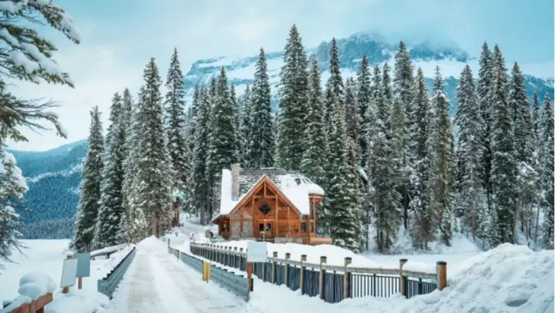 Winter Power Security